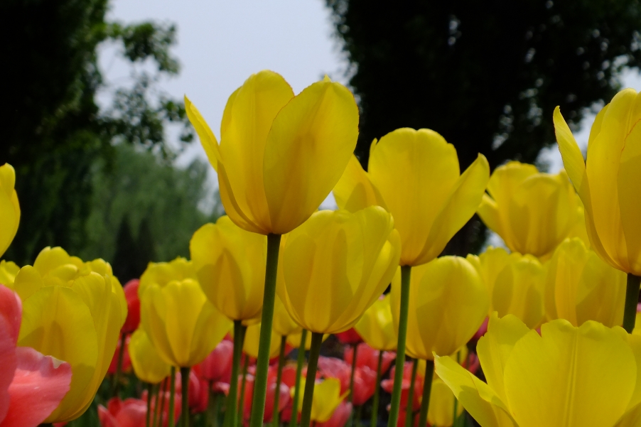 DSCF5101.JPG