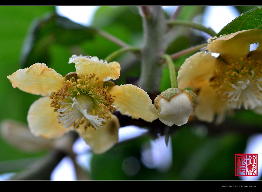 DSC_0486.JPG