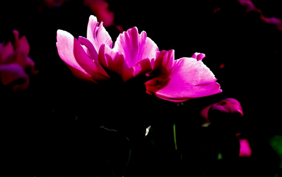 IMG_9616_.jpg