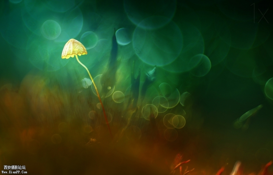 8ed3ed7d3b2ca1034852545f56c06b19-hd2.jpg