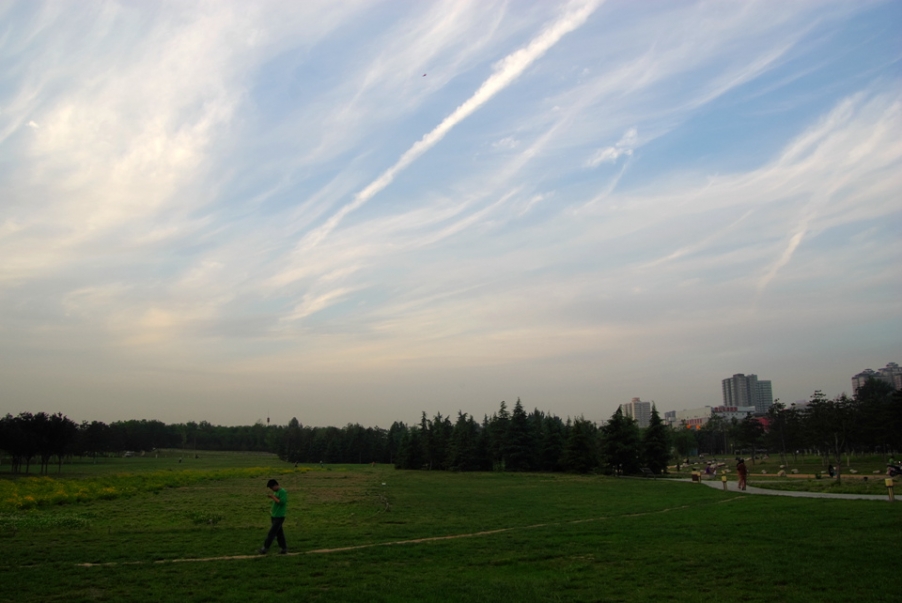 IMGP4079.jpg