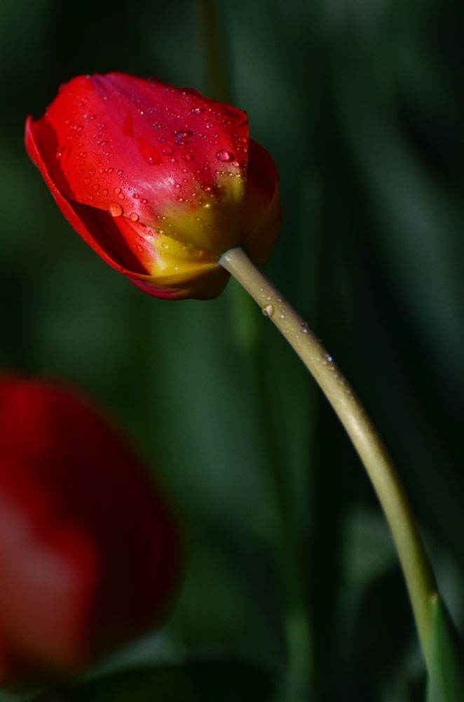 DSC_4700.jpg