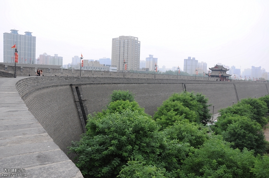 DSC_0156.JPG