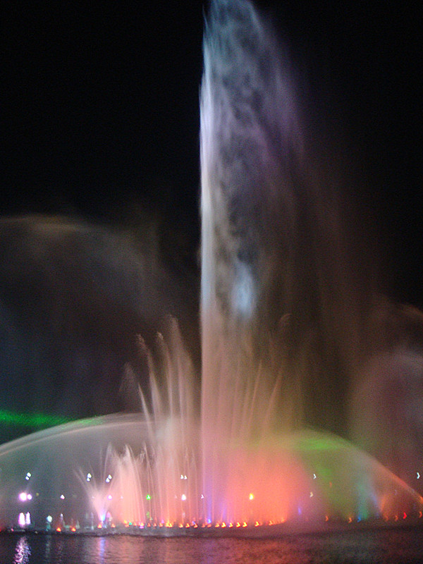 DSC06234_副本.jpg
