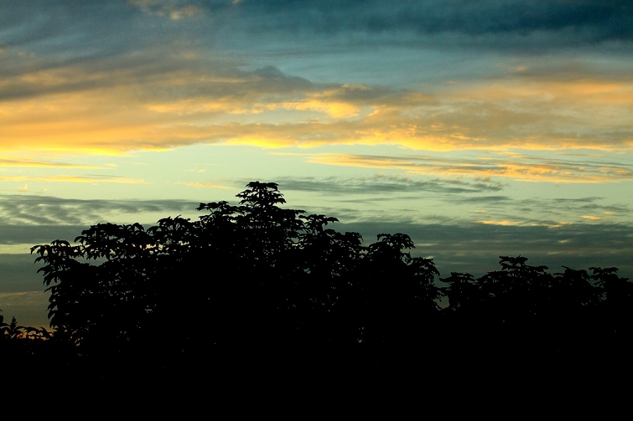 夕阳1.jpg