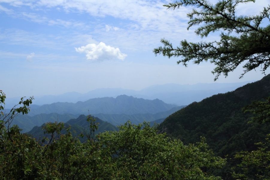 植物园74.jpg