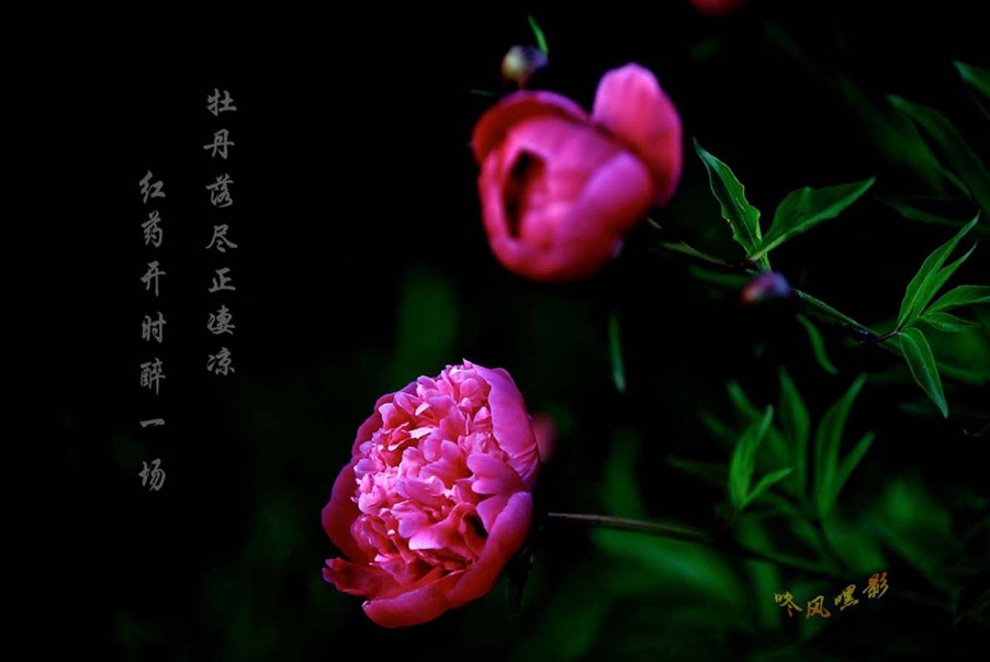 20130601_1025.jpg