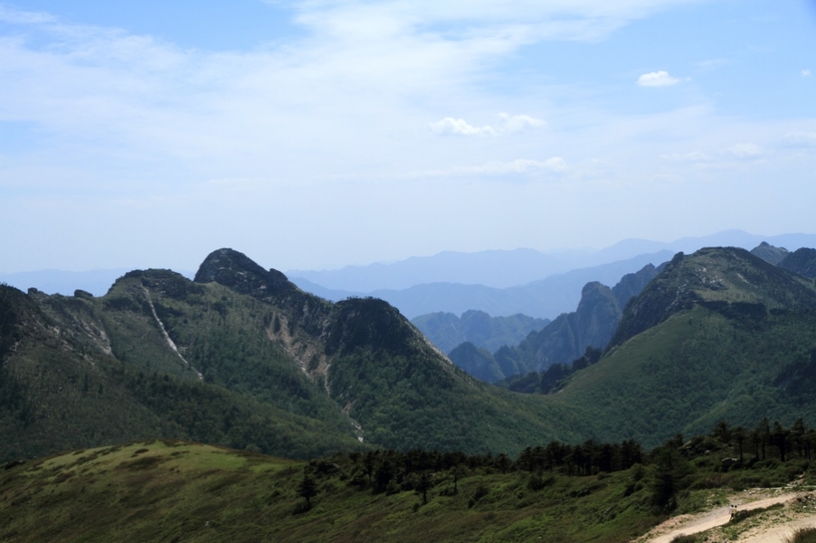 植物园109.jpg