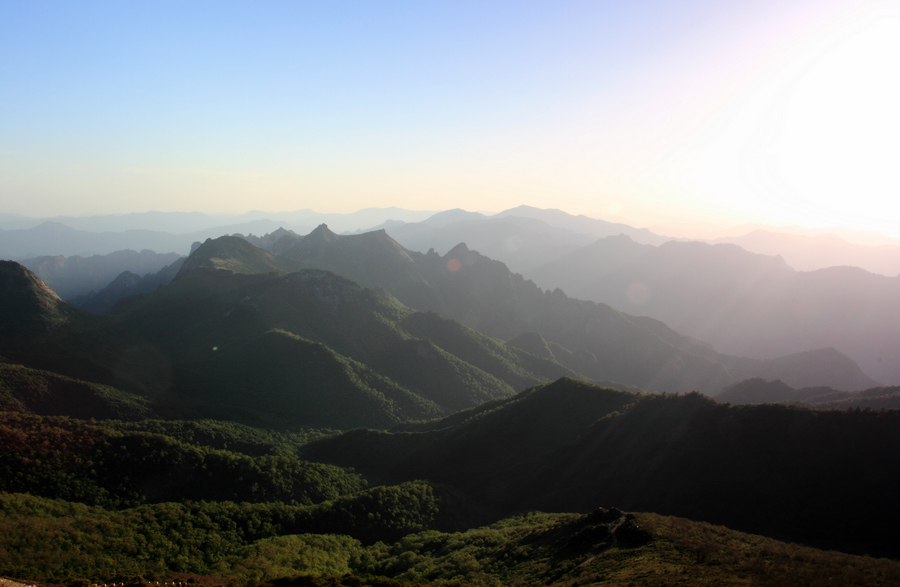 秦岭光头山49.JPG