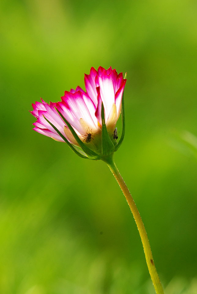 IMGP4742_副本.jpg