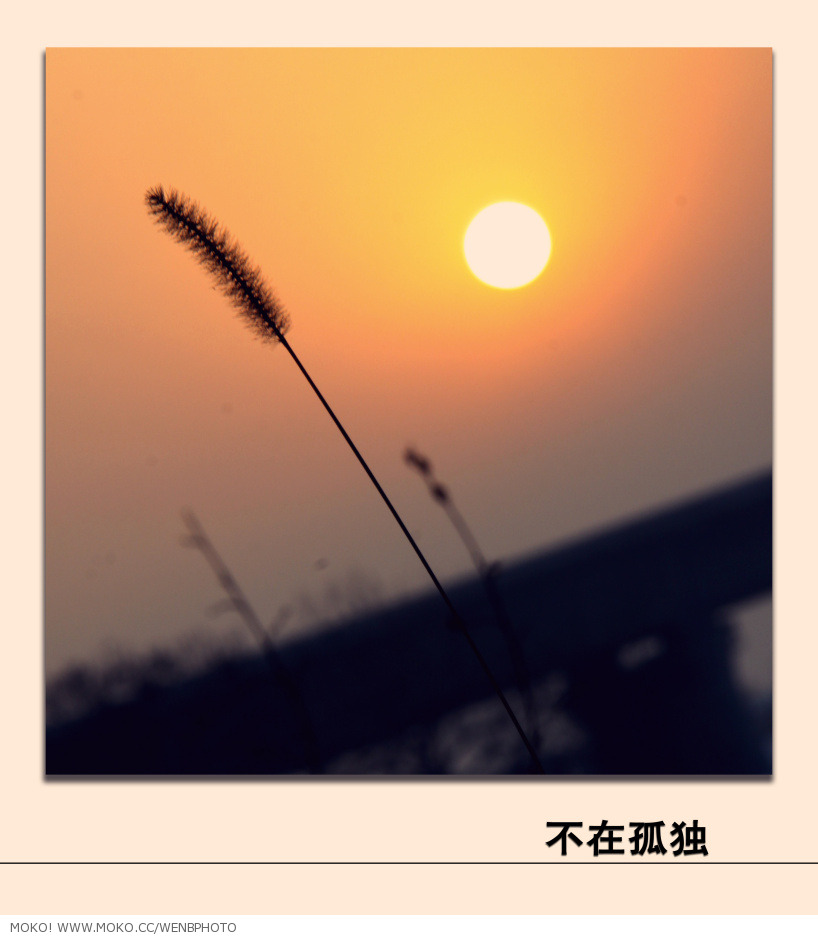 img1_src_5022731.jpg