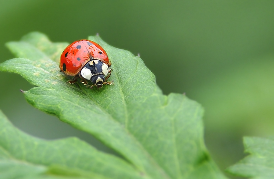_DSC4355副本.jpg