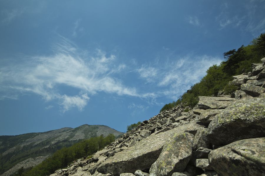 _Y4A0462.jpg