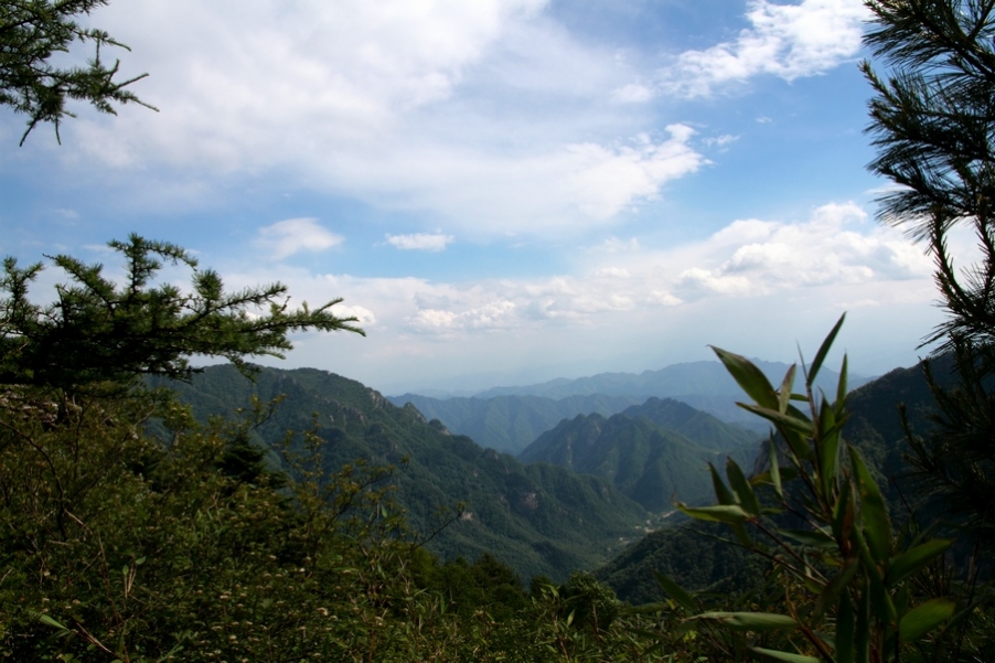 植物园165.jpg