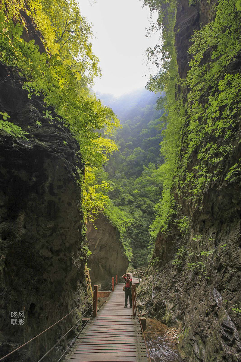 20130615_0403.jpg