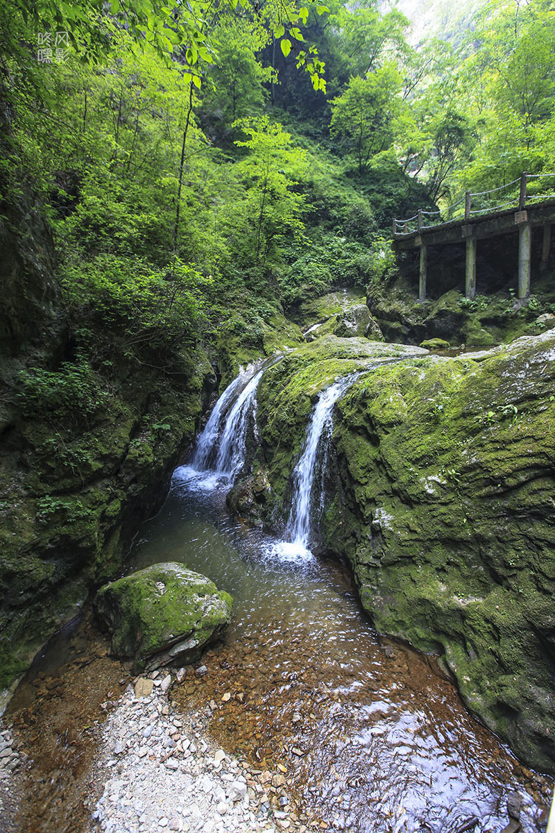 20130615_0455.jpg