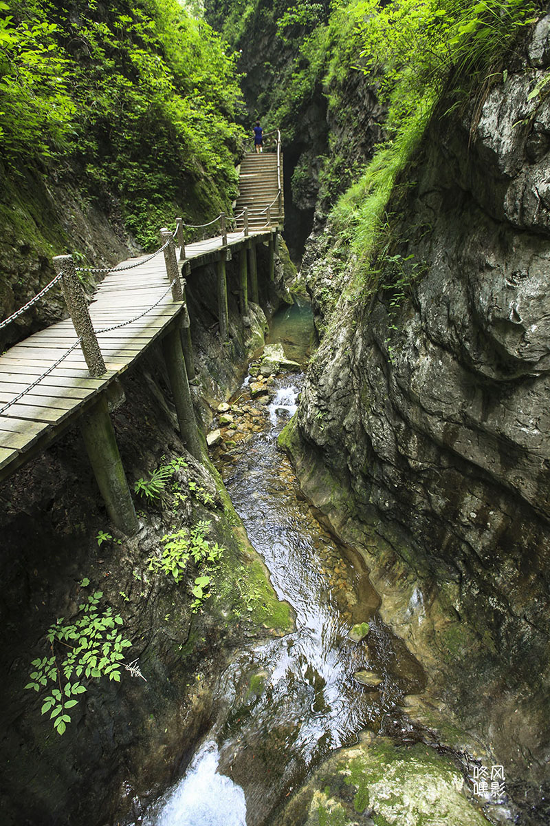 20130615_0460.jpg