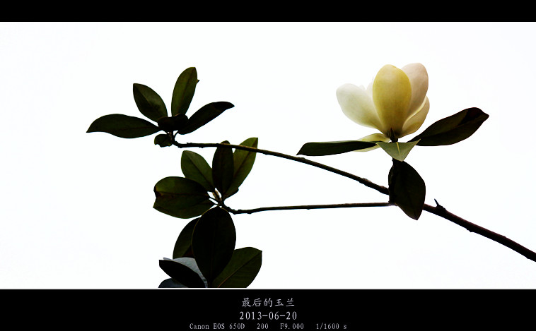 IMG_2302_副本.jpg