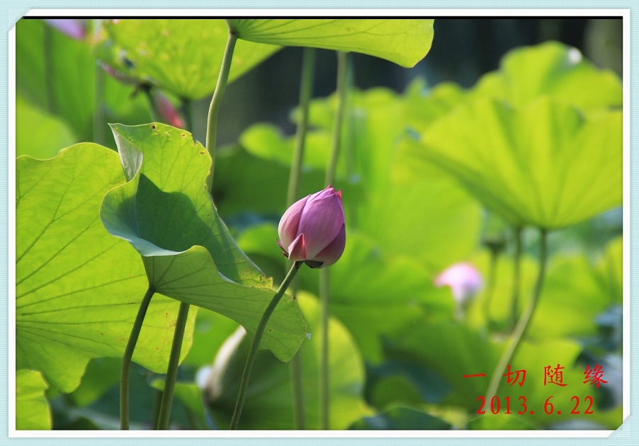IMG_1498_副本.jpg