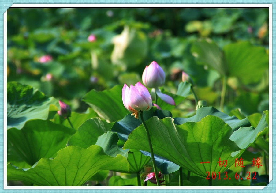 IMG_1500_副本.jpg
