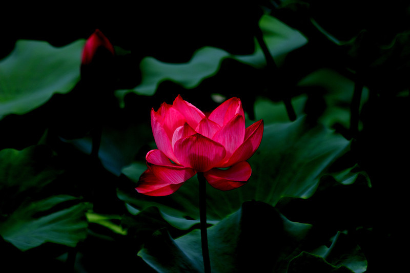 DPP_00134_副本_副本.jpg