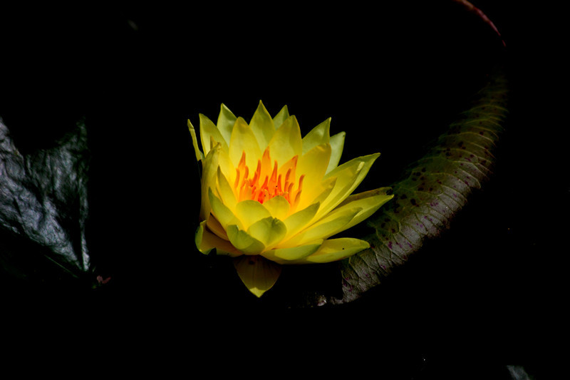 DPP_00136_副本_副本.jpg