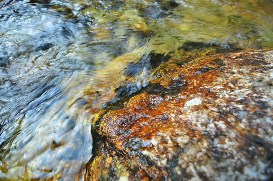 DSC_0055.JPG