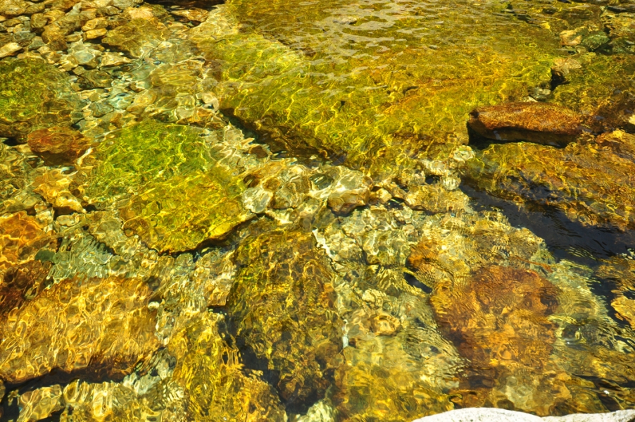 DSC_0161.JPG