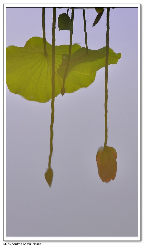 nEO_IMG_桌面照片 10114副本.jpg