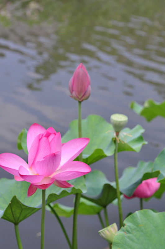DSC_0182_副本.jpg