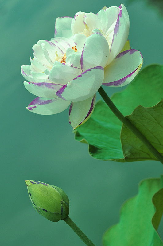 DSC_0174_副本.jpg