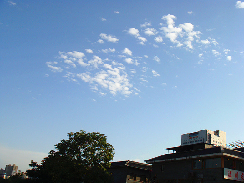 DSC09001_副本.jpg