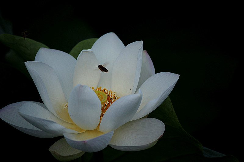 IMG_7809_副本.jpg