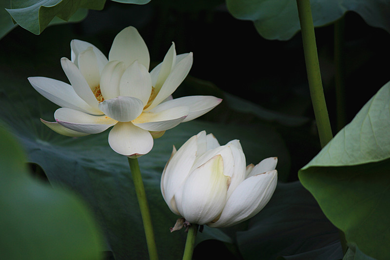 IMG_7830_副本.jpg