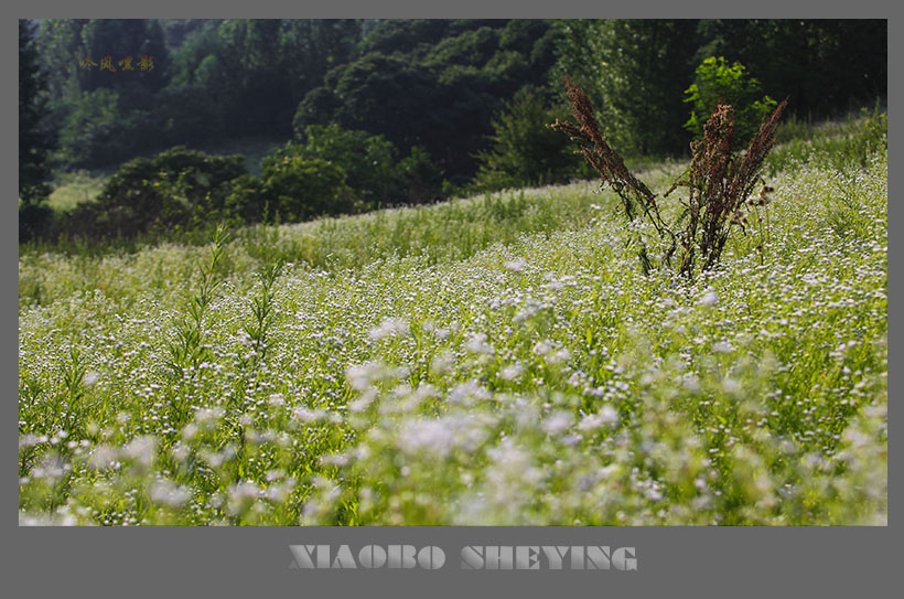 20130630_1377副本.jpg
