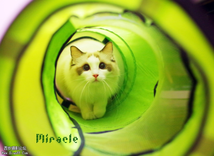 2303048i8ixfgfo68lslxx.jpg