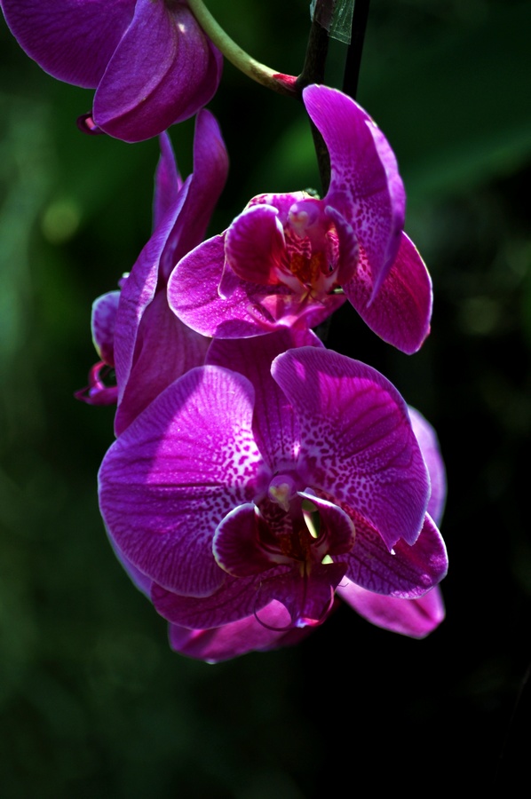 DSC_1179.jpg