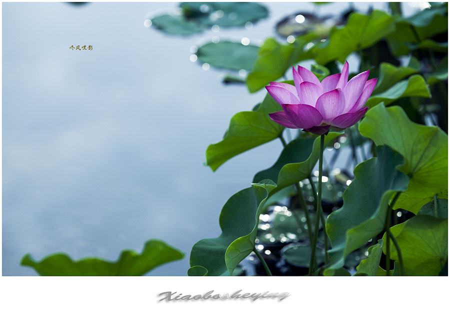 20130703_1608副本.jpg