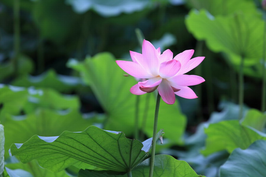 IMG_9369_调整大小_调整大小.JPG
