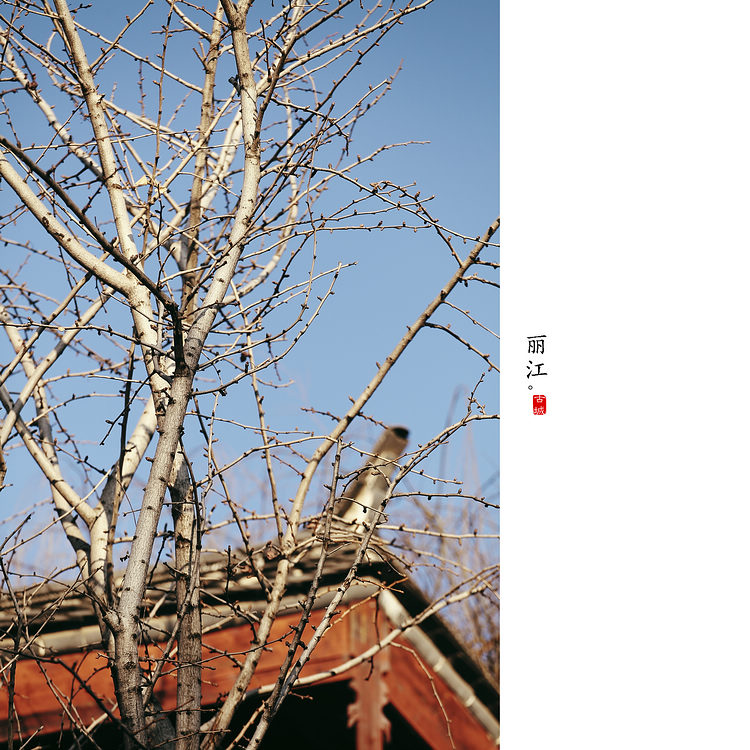 丽江5.jpg