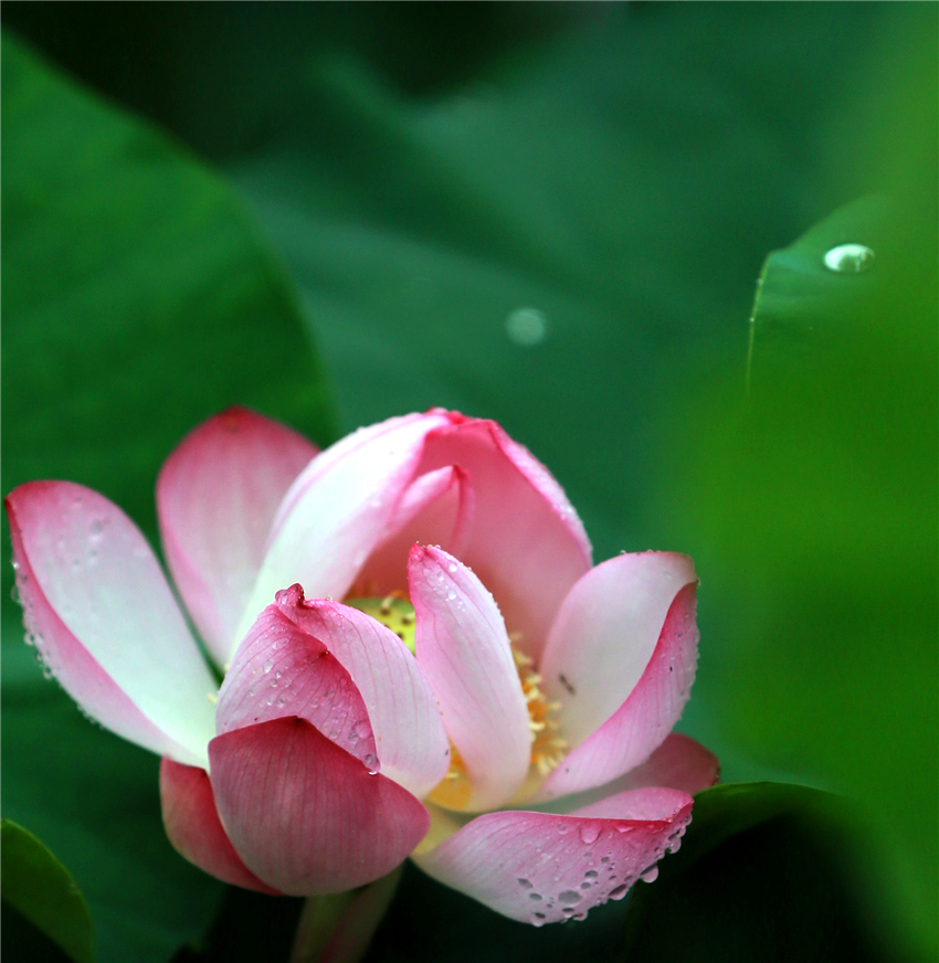 美荷030.jpg