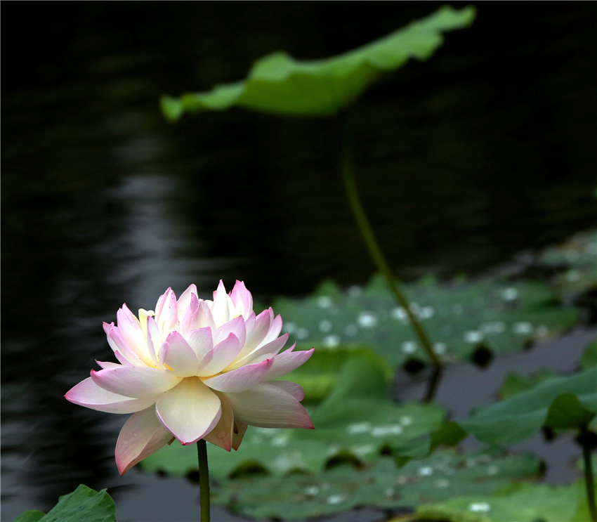 美荷038.jpg