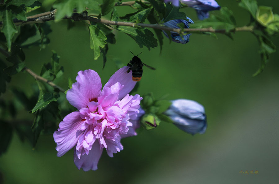 20130707_2061.jpg