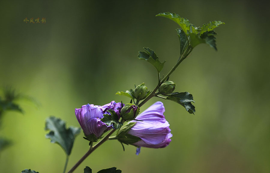 20130707_2129.jpg