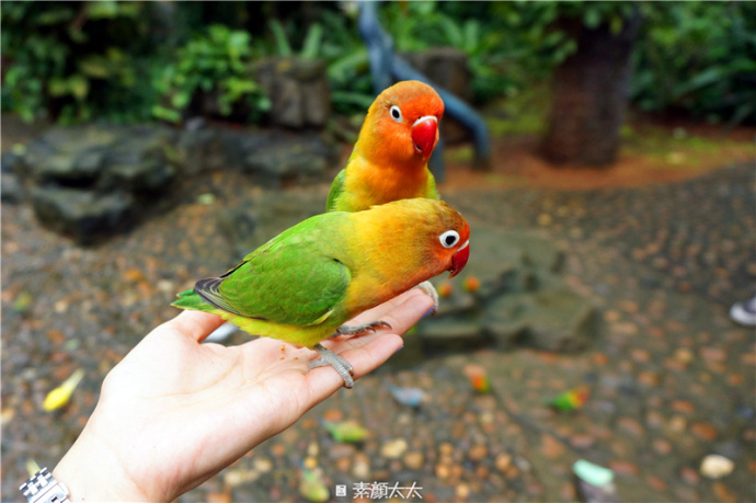 a9f7f1c3jw1e69d4gadv0j20m80etq7j.jpg