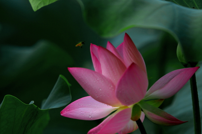 IMG_8551 拷贝.JPG