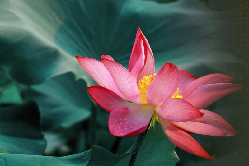 IMG_8569 拷贝.JPG