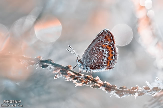 153147xwf1hdwbywfzsyab.jpg