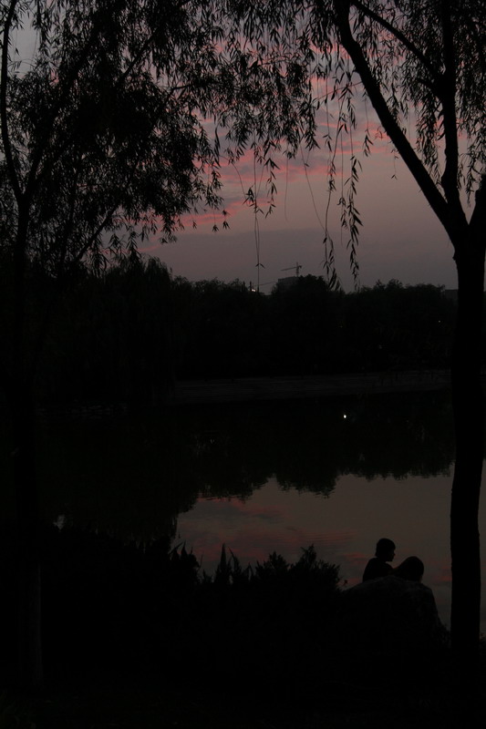 162_调整大小.JPG