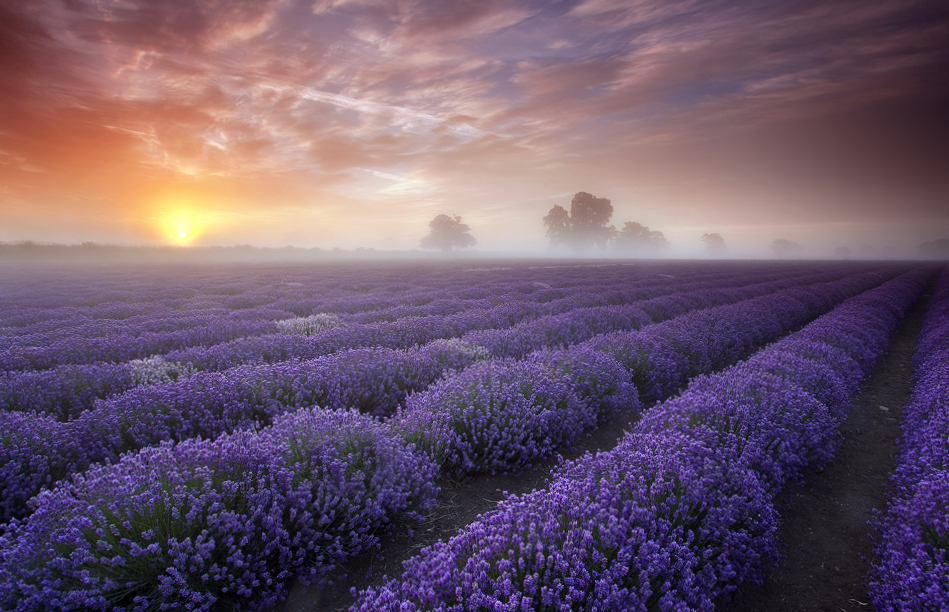 154019ir601bqgl701x6bg.jpg